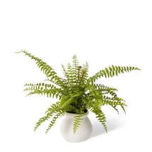 Fern Lush Boston - Wanda Vase - 48 x 48 x 60cm by null, a Plants for sale on Style Sourcebook