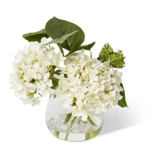 Hydrangea Garden Seeding Nut - 30 x 30 x 30cm by null, a Plants for sale on Style Sourcebook