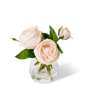 Rose Austin Spray - Alma Vase - 18 x 18 x 22cm by null, a Plants for sale on Style Sourcebook
