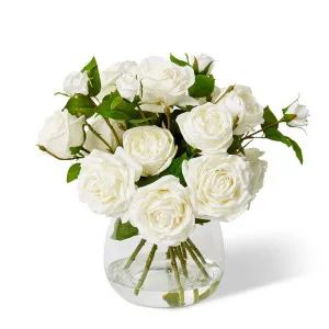 Rose Austin Spray and Garden - 48 x 48 x 44cm by null, a Plants for sale on Style Sourcebook