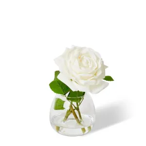 Rose Garden Stem - Alma Vase - 12 x 12 x 18cm by null, a Plants for sale on Style Sourcebook