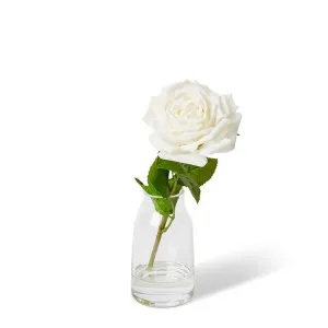 Rose Garden Stem - Harnan Vase - 10 x 10 x 32cm by null, a Plants for sale on Style Sourcebook