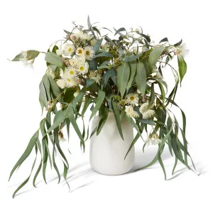 Flowering Eucalyptus-Damita Vase - 75 x 60 x 68cm by null, a Plants for sale on Style Sourcebook