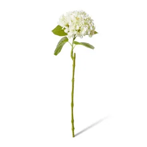 Hydrangea Bloom Stem - 25 x 20 x 60cm by null, a Plants for sale on Style Sourcebook