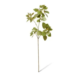 Smoke Leaf Branch - 32 x 30 x 103cm by null, a Plants for sale on Style Sourcebook