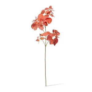 Smoke Leaf Branch - 32 x 30 x 103cm by null, a Plants for sale on Style Sourcebook