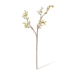 Magnolia Budding Stem - 30 x 25 x 99cm by null, a Plants for sale on Style Sourcebook