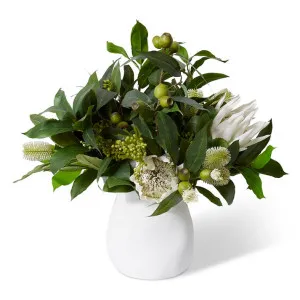 King Protea Native Mix - 70 x 70 x 60cm by null, a Plants for sale on Style Sourcebook