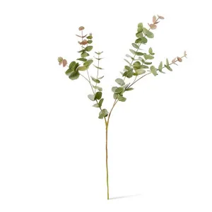 Eucalyptus Leaf Spray - 32 x 20 x 102cm by null, a Plants for sale on Style Sourcebook