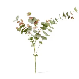 Eucalyptus Leaf Spray - 48 x 26 x 119cm by null, a Plants for sale on Style Sourcebook