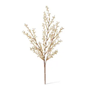 Willow Mini Bush - 25 x 10 x 48cm by null, a Plants for sale on Style Sourcebook