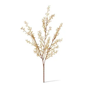 Willow Mini Bush - 25 x 10 x 48cm by null, a Plants for sale on Style Sourcebook