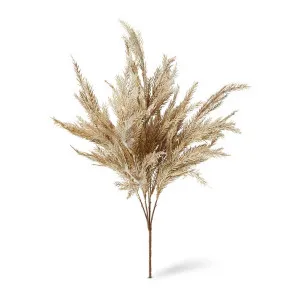 Grass Feather Bush - 30 x 10 x 55cm by null, a Plants for sale on Style Sourcebook