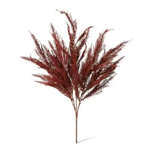 Grass Feather Bush - 30 x 10 x 55cm by null, a Plants for sale on Style Sourcebook