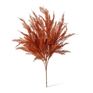 Grass Feather Bush - 30 x 10 x 55cm by null, a Plants for sale on Style Sourcebook
