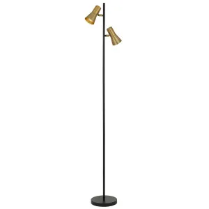 Telbix Verik Floor Lamp Brass by Telbix, a Floor Lamps for sale on Style Sourcebook