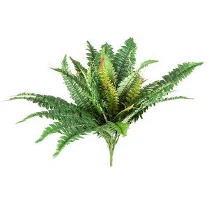 Boston Fern Bush Large 56cm by Florabelle Living, a Plants for sale on Style Sourcebook