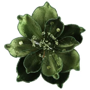 Lush Clip on Magnolia Green by Florabelle Living, a Plants for sale on Style Sourcebook