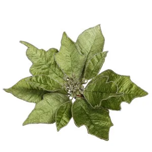 Velve Clip on Poinsettia Green by Florabelle Living, a Christmas for sale on Style Sourcebook