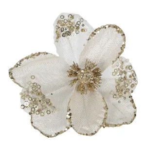Faille Clip on Camellia Champagne by Florabelle Living, a Plants for sale on Style Sourcebook