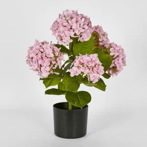 Potted Real Touch Hydrangea Pink 53cm by Florabelle Living, a Plants for sale on Style Sourcebook