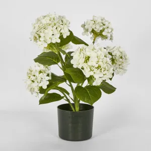 Potted Real Touch Hydrangea White 53cm by Florabelle Living, a Plants for sale on Style Sourcebook