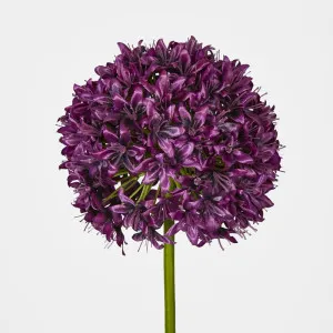 Allium Flower Lavender by Florabelle Living, a Plant Holders for sale on Style Sourcebook