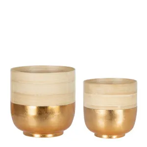 Saison Bamboo Planter Set of 2 Gold by Florabelle Living, a Statues & Ornaments for sale on Style Sourcebook