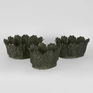 Kale Pots Set of 3 Charcoal by Florabelle Living, a Statues & Ornaments for sale on Style Sourcebook