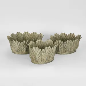 Kale Pots Set of 3 Grey Wash by Florabelle Living, a Statues & Ornaments for sale on Style Sourcebook