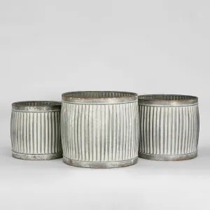 Ribbed Planter Set of 3 by Florabelle Living, a Statues & Ornaments for sale on Style Sourcebook