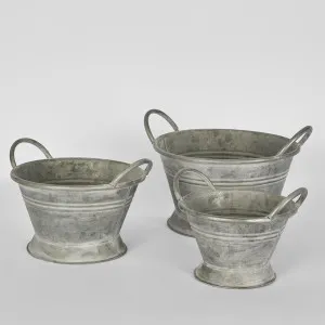 Iron Bowl Set of 3 by Florabelle Living, a Statues & Ornaments for sale on Style Sourcebook