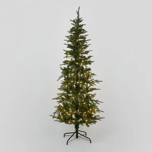 Slim Pine Tree 180cm With 200 LED by Florabelle Living, a Christmas for sale on Style Sourcebook