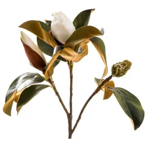 Magnolia Bud 60cm White by Florabelle Living, a Plants for sale on Style Sourcebook