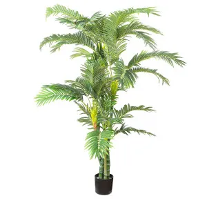 Parlour Palm Twisted Trunk 1.8m by Florabelle Living, a Plants for sale on Style Sourcebook