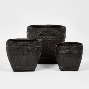 Paume Rattan Planter Set 3 Black by Florabelle Living, a Baskets & Boxes for sale on Style Sourcebook