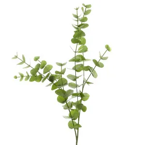 Eucalyptus leaf Spray Long 1m by Florabelle Living, a Plants for sale on Style Sourcebook
