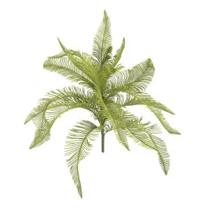 Fern Feather Bush 50cm by Florabelle Living, a Plants for sale on Style Sourcebook