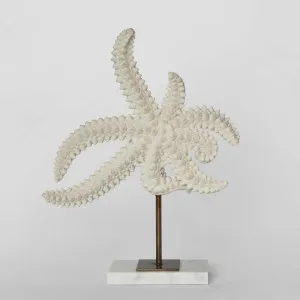 Starfish on Marble White by Florabelle Living, a Statues & Ornaments for sale on Style Sourcebook