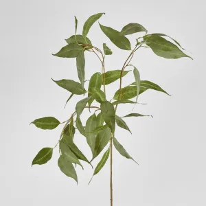 Eucalyptus Spray 117cm by Florabelle Living, a Plants for sale on Style Sourcebook