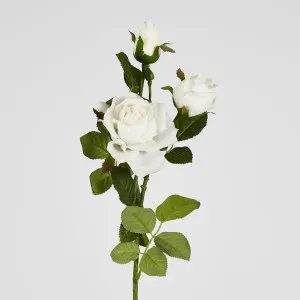 Real Touch Rose Spray 75cm White by Florabelle Living, a Plants for sale on Style Sourcebook