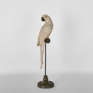 Amabela Parrot Small Natural by Florabelle Living, a Statues & Ornaments for sale on Style Sourcebook