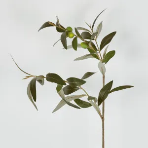 Olive Leaf Spray 76cm by Florabelle Living, a Plants for sale on Style Sourcebook