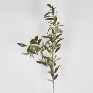 Olive Leaf spray Branch 115cm by Florabelle Living, a Plants for sale on Style Sourcebook