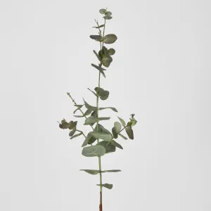Eucalyptus Spray 74cm Dark Green by Florabelle Living, a Plants for sale on Style Sourcebook