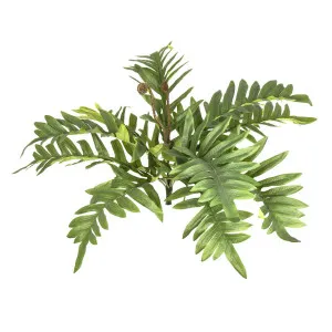 Fern River 50cm by Florabelle Living, a Plants for sale on Style Sourcebook