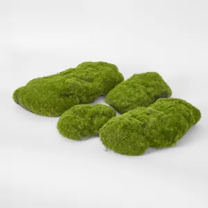 Moss Mound (Bag of 4) by Florabelle Living, a Plants for sale on Style Sourcebook