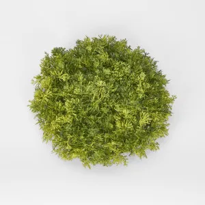 Moss Mat Round SML by Florabelle Living, a Plants for sale on Style Sourcebook