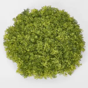 Moss Mat Round LGE by Florabelle Living, a Plants for sale on Style Sourcebook