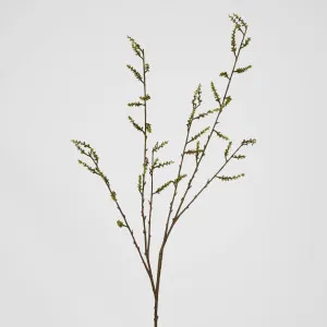 Stachyurus Leaf Spray by Florabelle Living, a Plants for sale on Style Sourcebook